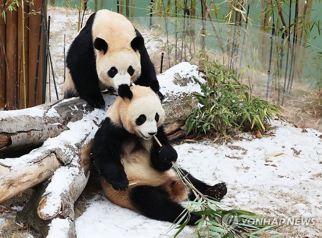 추운 겨울, 둘이라서 좋아