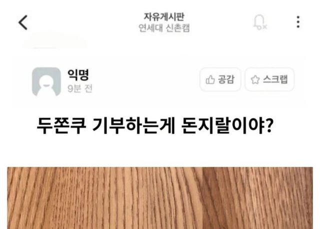 '보육원 사치재 후원' 논쟁을 일으킨 캡처본