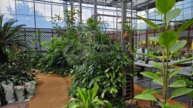 서울시 광역 반려식물병원 입원치료실