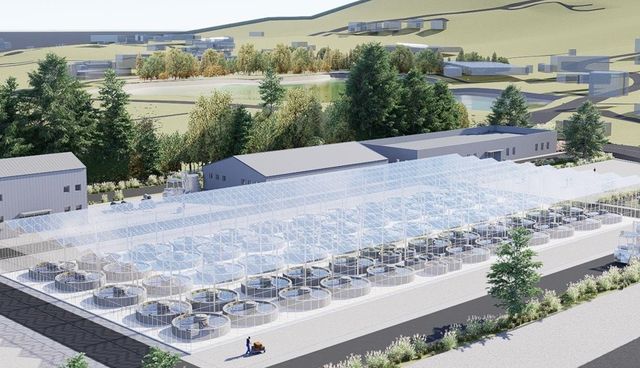 해조류 바이오 스마트 팩토리 조김도 