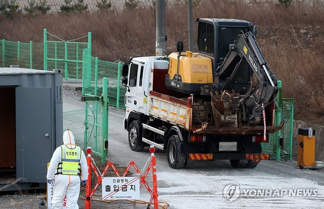 강릉 양돈농가서 아프리카돼지열병 발생…방역 초비상