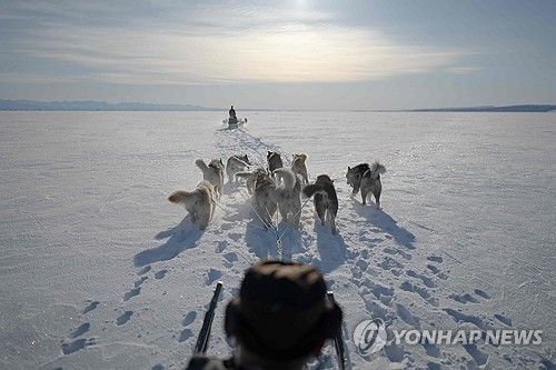 개썰매를 모는 그린란드 이누이트족 [AFP 연합뉴스 자료사진] 