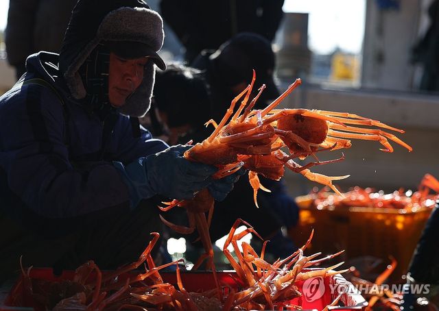 한파 속 잡아 올린 게