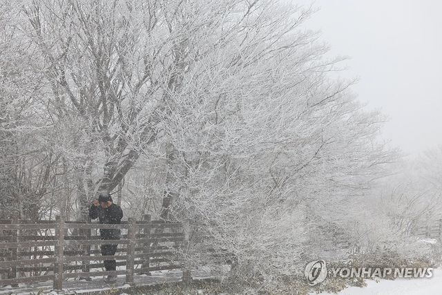 눈보라 몰아치는 1100고지