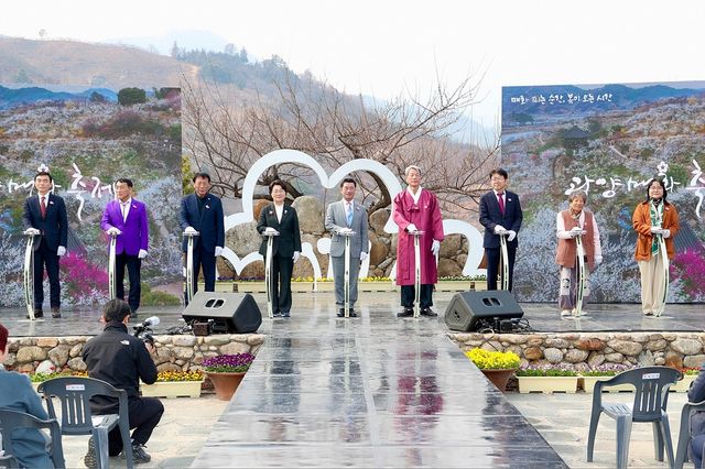 2025년 더딘 개화 속에 열린 광양매화축제