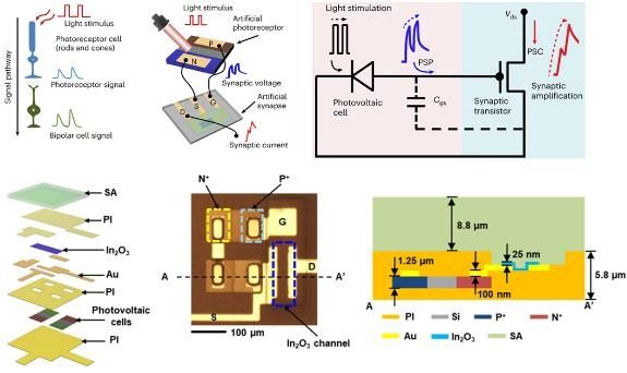 캐스케이드 뉴로모픽 구조의 개념 및 공정 구현