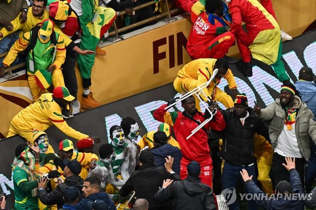 페널티킥 판정에 항의하며 소란을 벌이는 세네갈 팬들