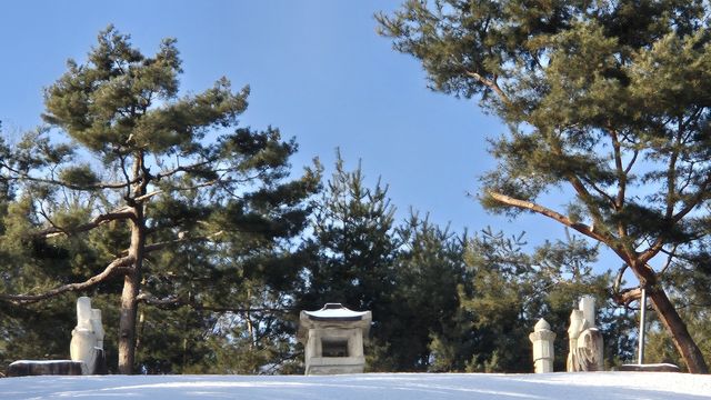 석물과 소나무 [촬영 김정선] 2026.1