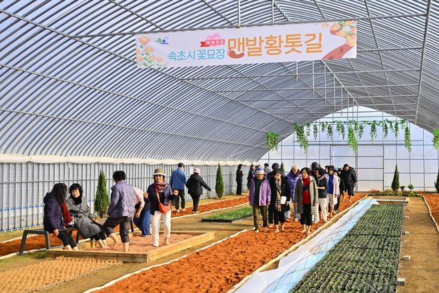 속초 맨발 황톳길