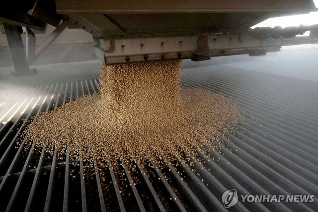 중국 대두 수입
