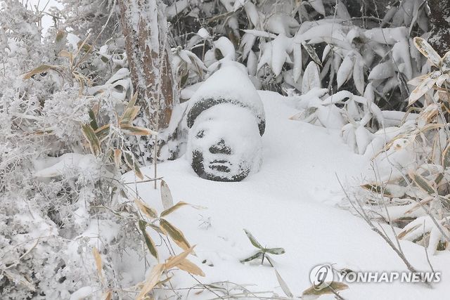 지난 1월 2일 한라산 1100고지 전망대 앞 눈에 파묻힌 돌하르방