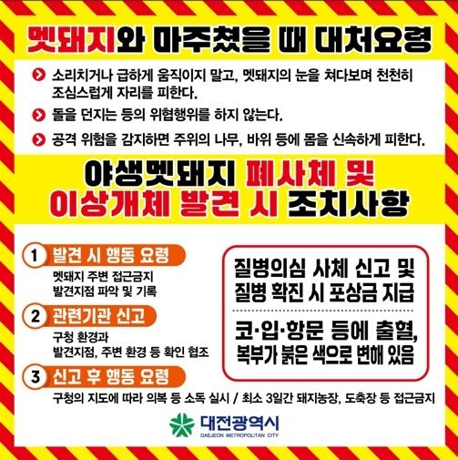 멧돼지 발견 시 행동요령