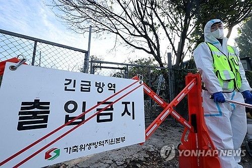 '조류인플루엔자' 농장 출입통제