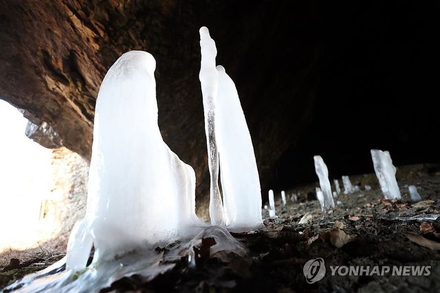 한파가 빚은 '거꾸로 고드름'