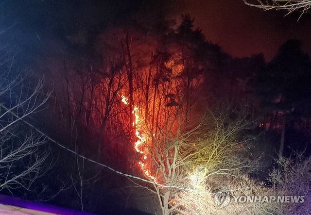 '치솟는 연기' 곡성 야산서 화재