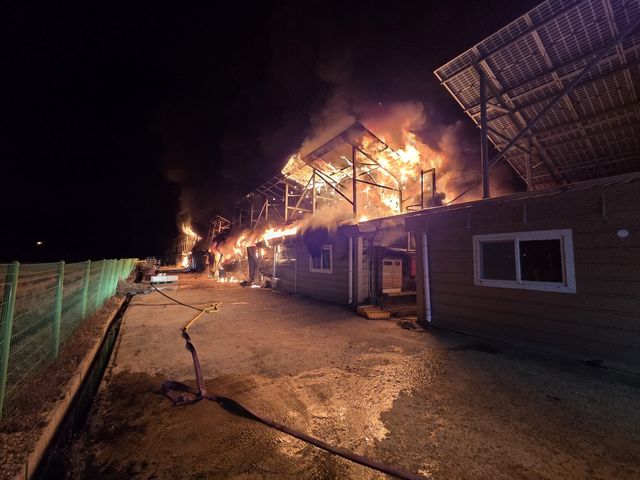 서천 곤충사육시설서 화재