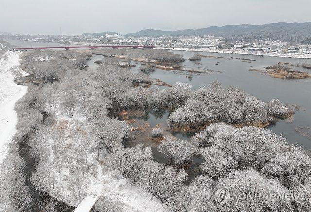 소양강에 눈꽃 활짝
