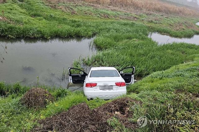고의로 빠뜨린 외제 차량