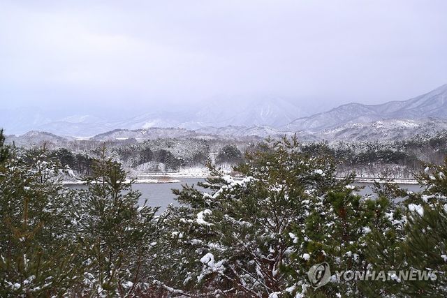 폭설 내린 강원 고성 송지호