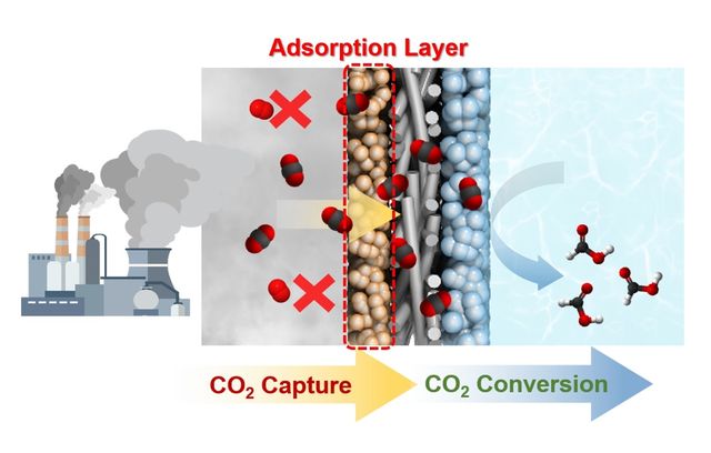탄소 포집과 화학물질 전화를 하나의 전극에서 수행하는 구조