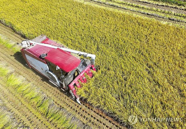 농가인구 200만명 아래로…올해 농가소득 145만원 증가 전망(종합) - 2
