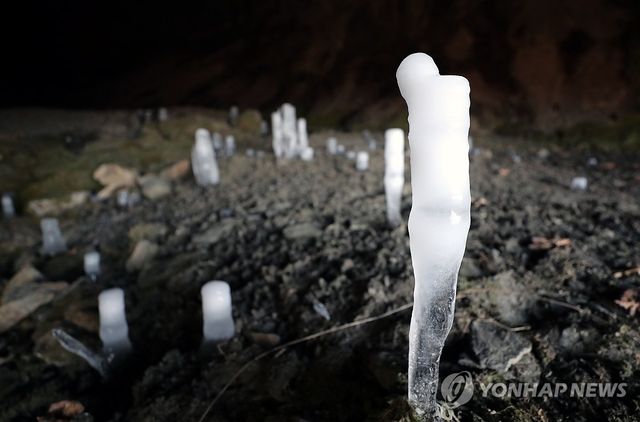 바닥에서 피어난 고드름의 숲