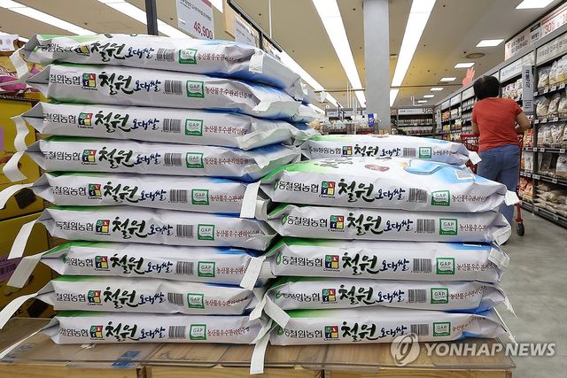 [연합뉴스 자료 사진]