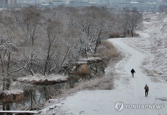 눈꽃 활짝 핀 소양강
