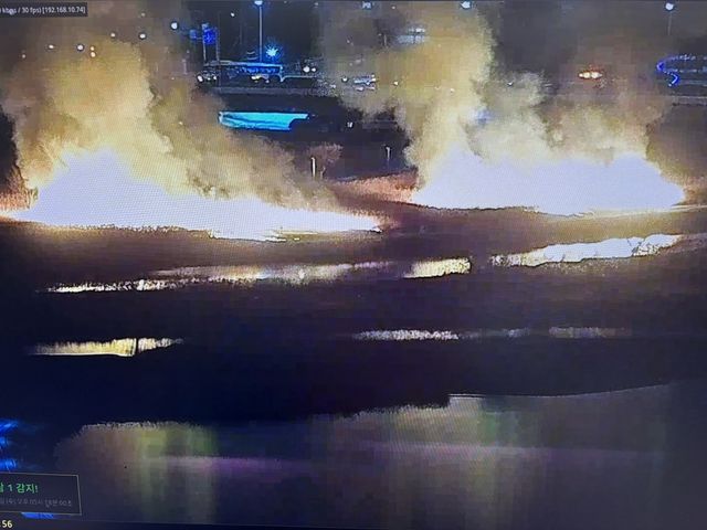 울산 명촌교 갈대밭 화재