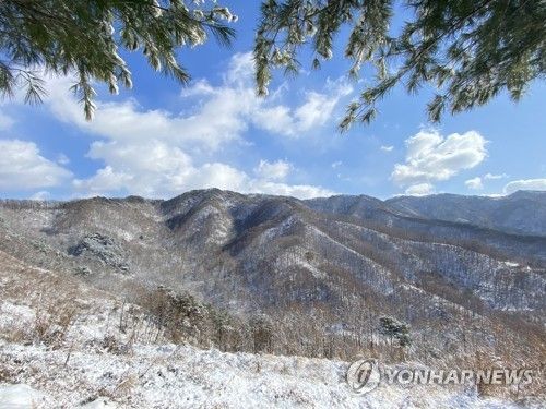 눈 내린 상당산성