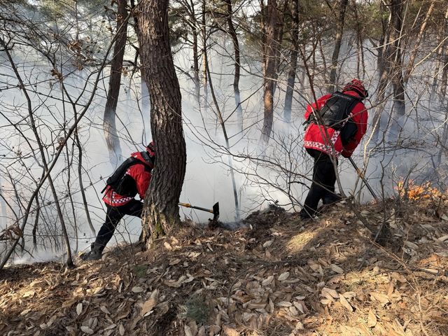 괴산서 산불진화하는 인력들의 모습