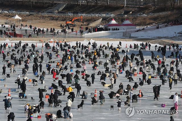 인삼 송어 잡기 삼매경