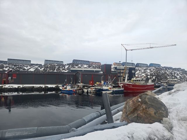 그린란드 누크항