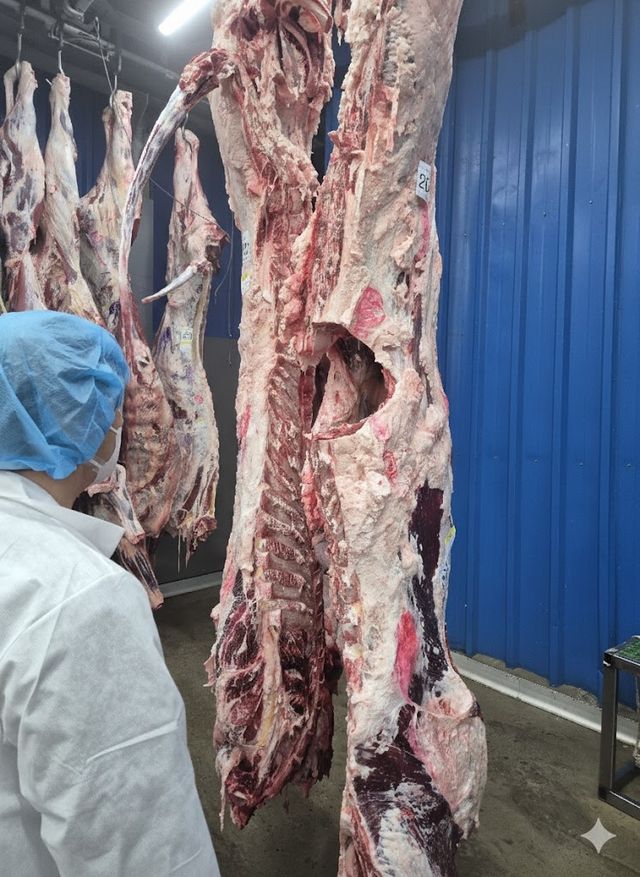 축산물 잔류물질 검사