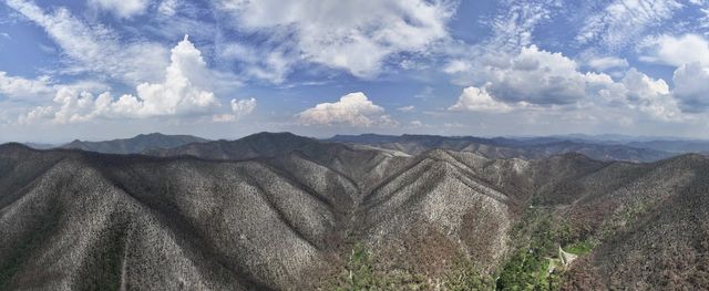 산불로 소실된 고운사 사찰림 유역