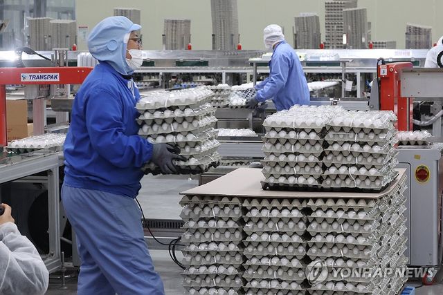계란 수급 불안에 대비해 수입한 미국산 신선란