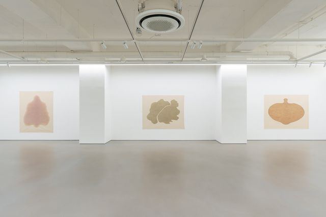 '김홍주: 표면에 남다' 전시 전경