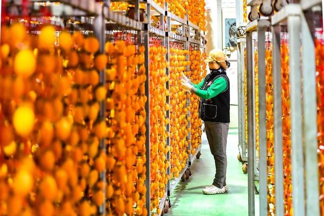 익어가는 함안곶감