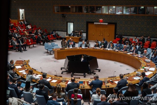 유엔 안전보장이사회 회의