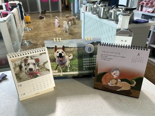 유기견 보호소 '유엄빠'의 2023(왼쪽부터)·2025·2026년 캘린더