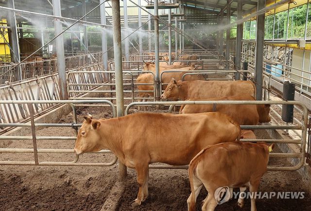 가축분뇨 에너지로 활용 '저탄소 축산지구'에 포천·김제·영천 - 1