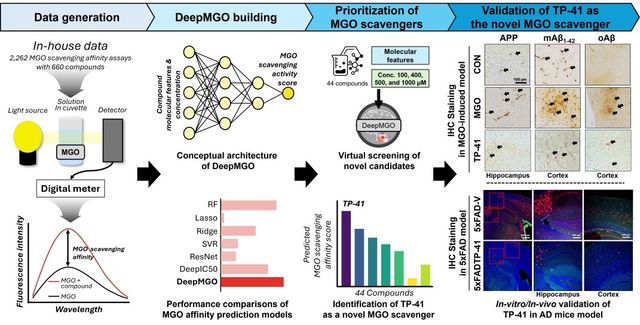 '딥엠지오' 활용한 알츠하이머 치료 후보물질 발굴