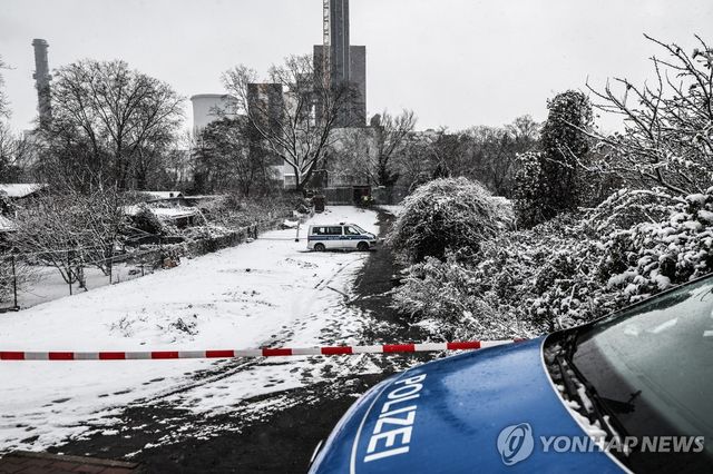 리히터펠데 열병합발전소