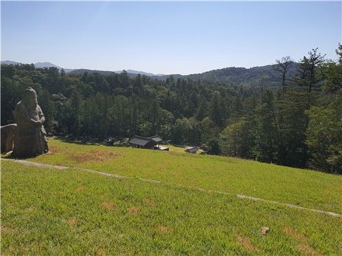 남양주 광릉 능침에서 숲을 바라본 풍경 [촬영 김정선] 2023.10