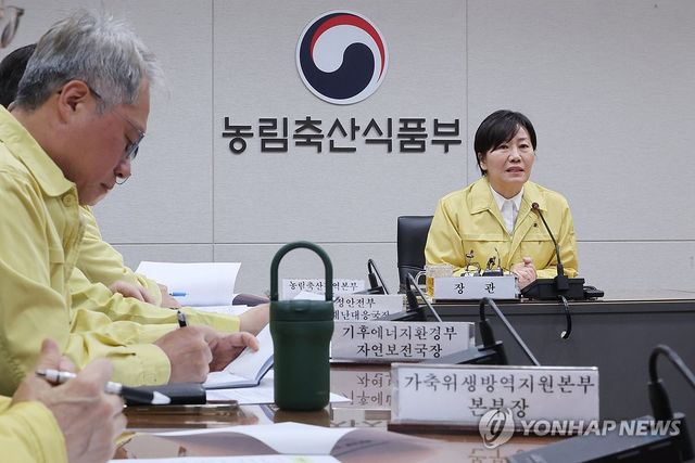 AI 중수본 회의 주재하는 송미령 농식품부 장관