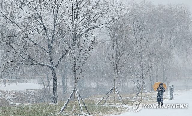 눈 내리는 춘천