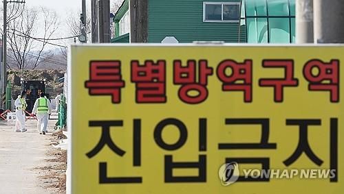 고병원성 AI 확산 '비상'