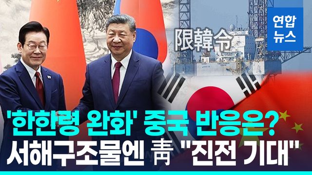 [영상] 이대통령·시주석, 두 번째 대좌…민감 현안도 대화 테이블에 - 2