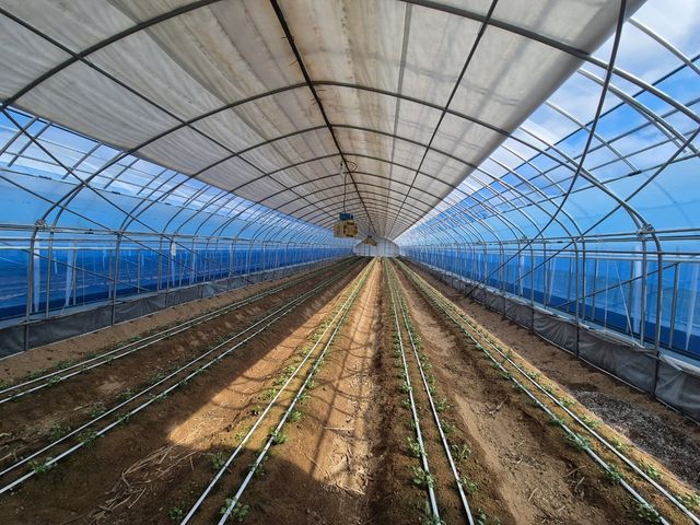 영농 시설 현대화