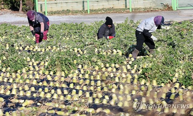 더 추워지기 전에